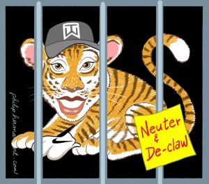 Tiger Woods Neuter & De-claw by Herman